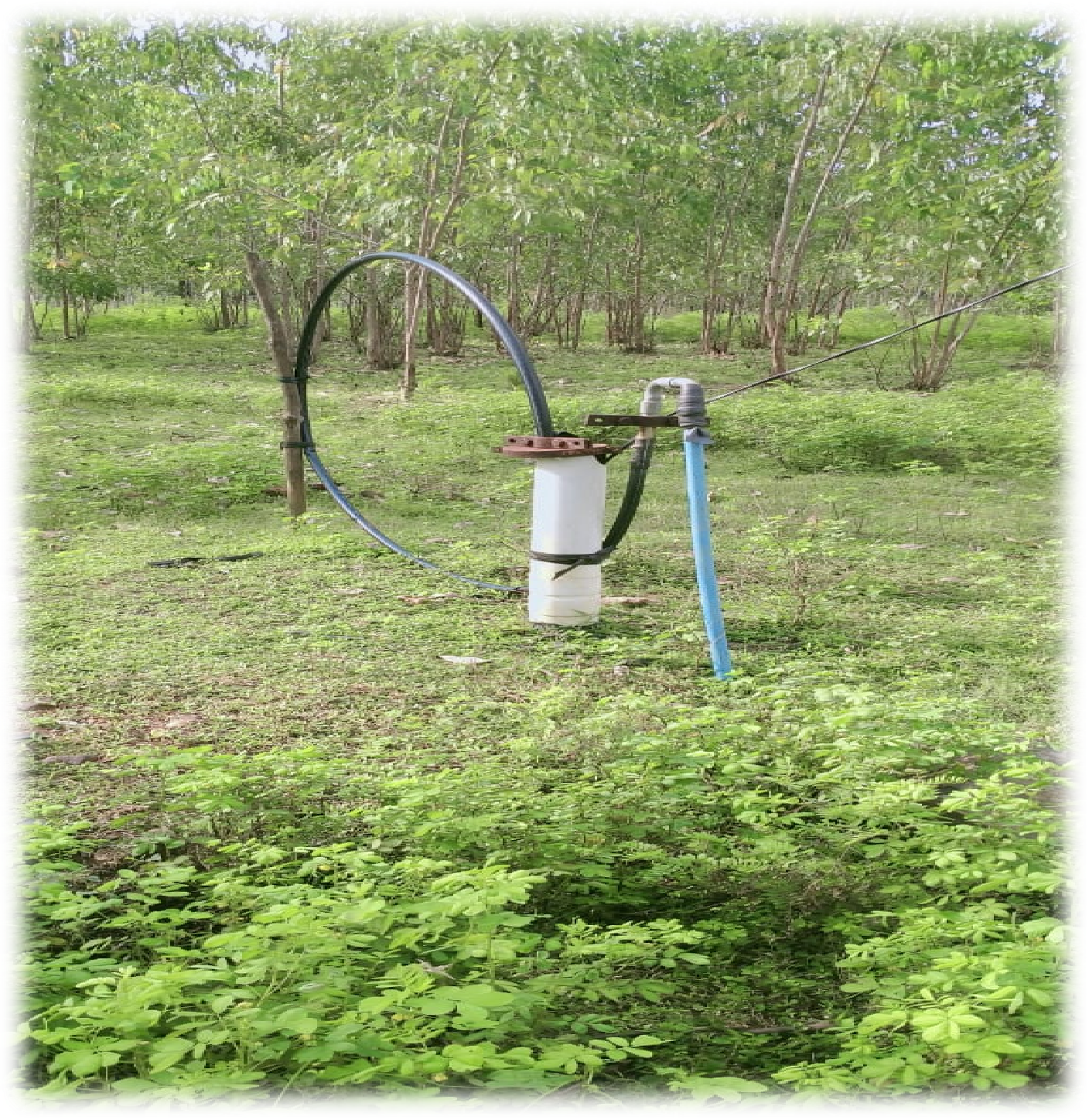 Borewell village development story